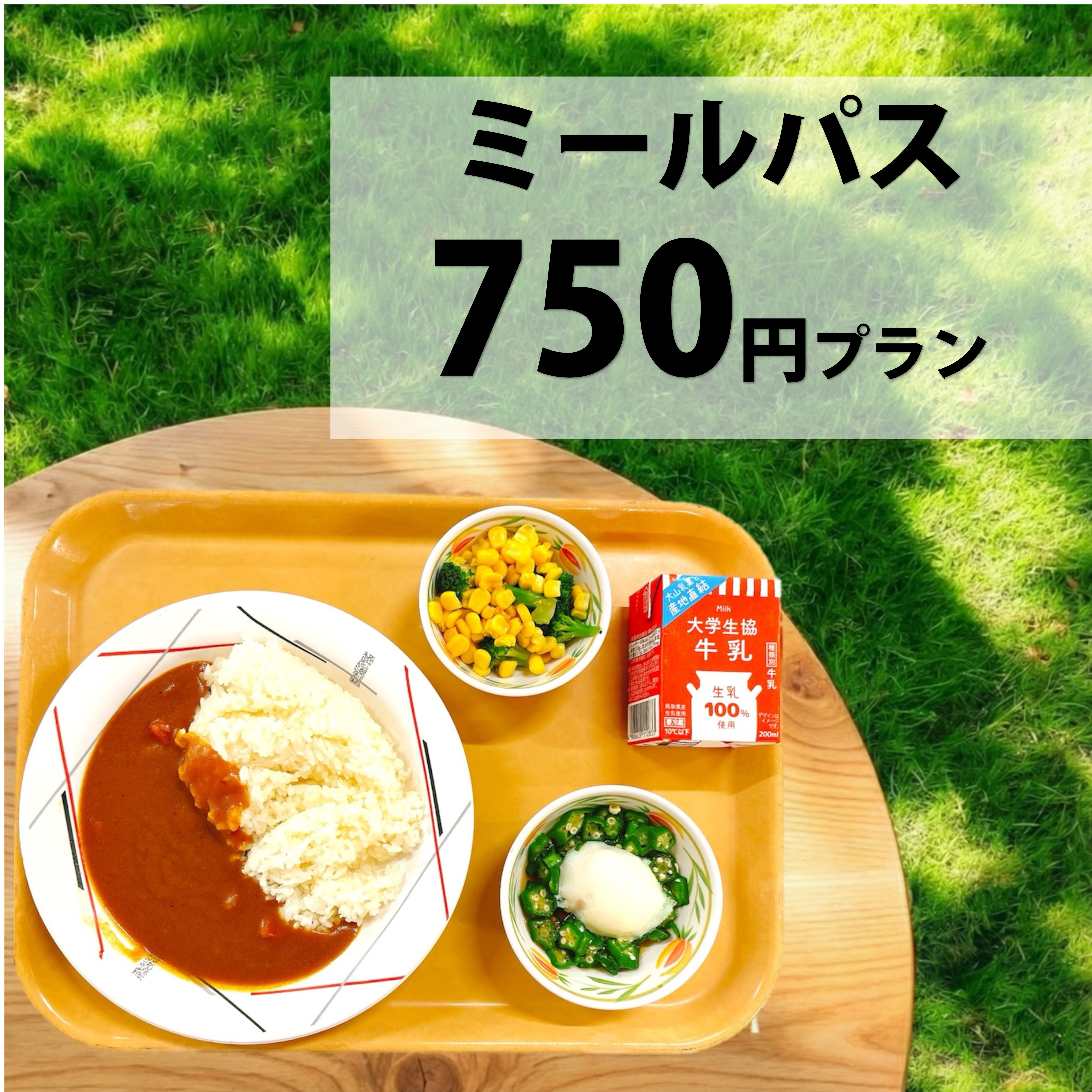 食事の年間定期券ミールパス750円ライトプラン